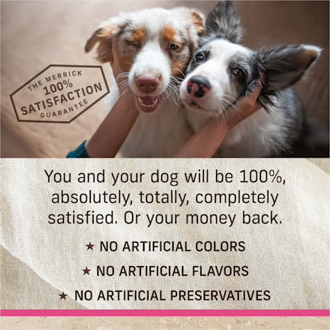 merrick small breed dog food petco