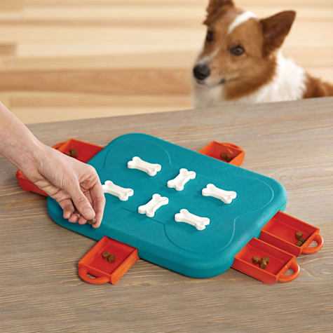 dog casino puzzle