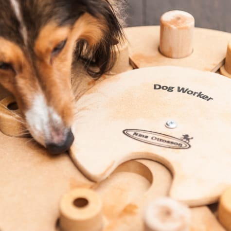 dog worker puzzle