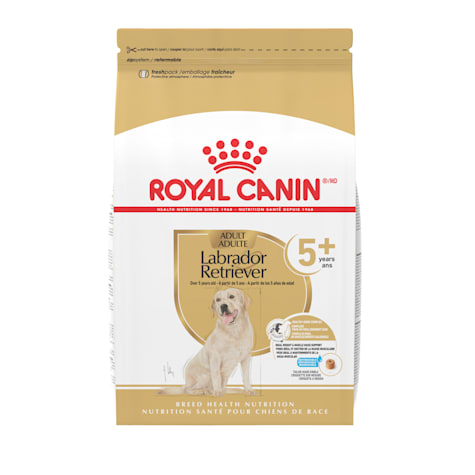 Royal Canin BHN Labrador Retriever Adult 5+ Dry Dog Food