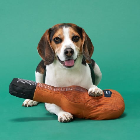 dog guitar toy