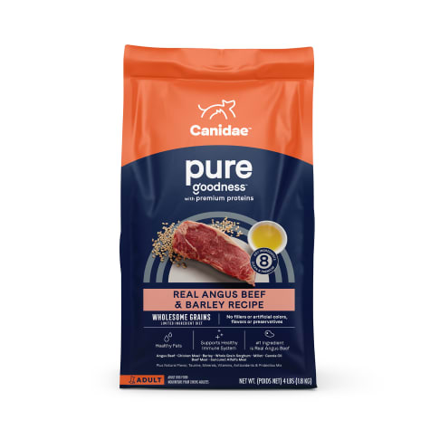 Canidae Pure Wholesome Grains Limited Ingredient Real Angus Beef and Barley Recipe Dry Dog Food