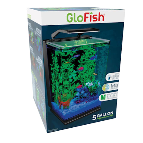 GloFish Desktop Cycle Light And Hidden Filtration Aquarium Kit
