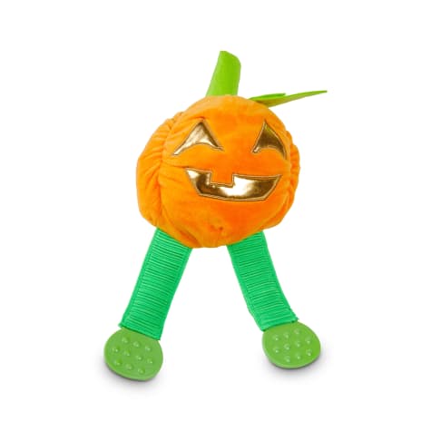 stuffed pumpkin dog toy