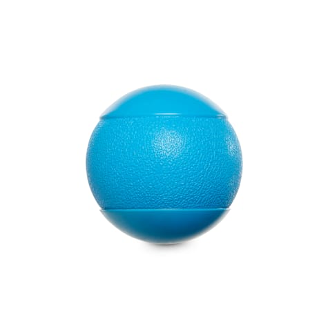Leaps & Bounds Squeak Ball Dog Toy