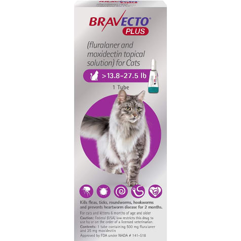 30 Top Images Bravecto Plus For Cats How To Apply : Bravecto Plus for Large Cats 6.25-12.5kg