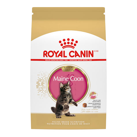 Royal Canin Feline Breed Nutrition Maine Coon Dry Kitten Food