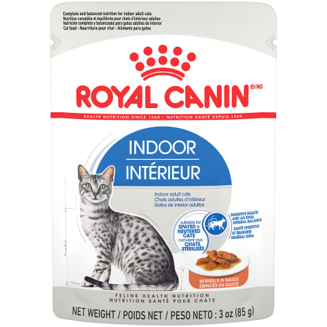 royal canin cat food petco