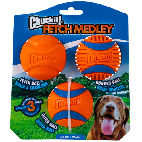 Chuckit! Fetch Medley Rubber Balls Fetch Dog Toy