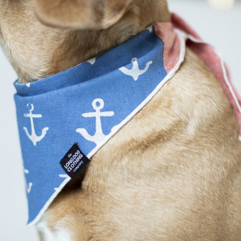 nautical dog bandana