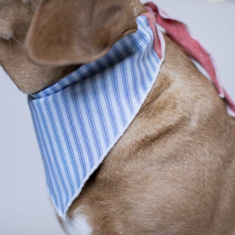 nautical dog bandana