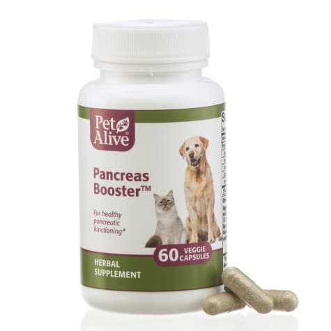 PetAlive Pancreas Booster Veggie Capsules Natural Herbal Supplement Pancreatic Functioning for Pets