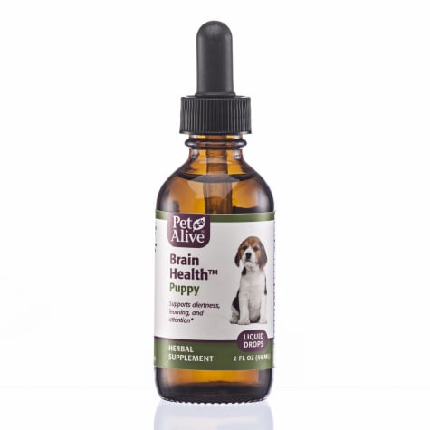 PetAlive Brain Liquid Drops Natural Herbal Brain Health Supplement for Growing Puppies