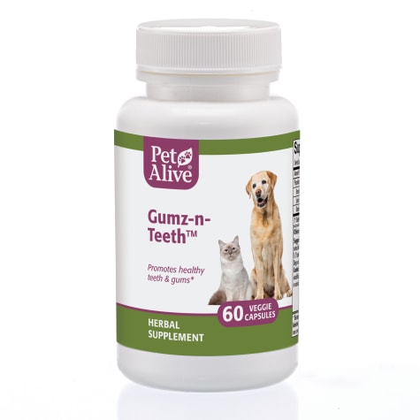 PetAlive Gumz-n-Teeth Veggie capsules Natural Herbal Supplement Oral Health for Pets