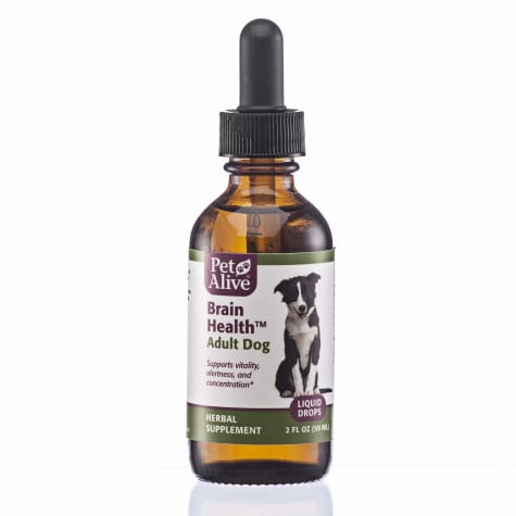 PetAlive Brain Liquid Drops Natural Herbal Supplement for Vitality, Concentration and Alertness for Adult Dogs