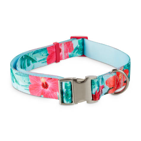 Good2Go Fashion Print Dog Collar