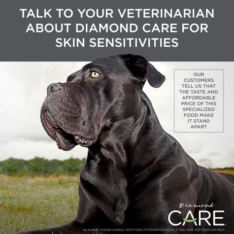 diamond care sensitive skin formula dog food