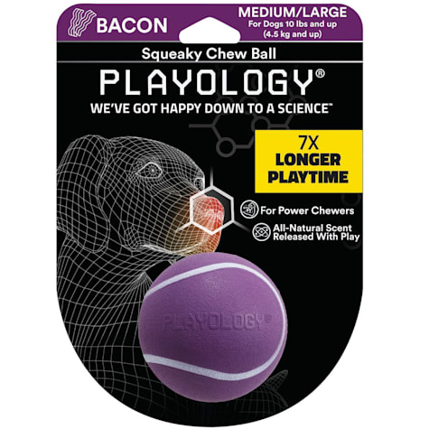 Playology Squeaky Bacon Scent Chew Ball Dog Toy