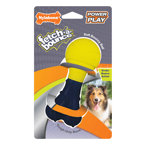 Nylabone Power Play Fetch-a-Bounce Dog Toy