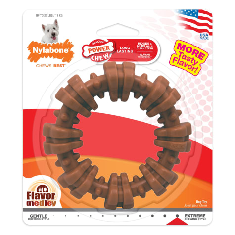 Nylabone Power Chew Textured Chew Ring Dog Toy