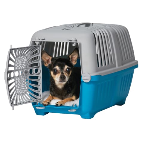 Midwest Spree Plastic Blue Pet Travel Carrier