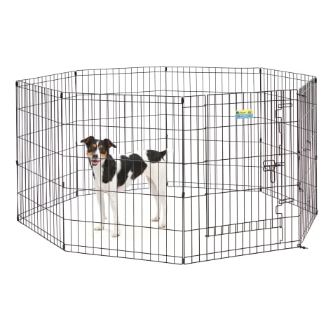 Midwest Single Door Icrate Metal Dog Crate 48 Walmart Com In 2020 Wire Dog Crates Large Dog Crate Xxl Dog Crate