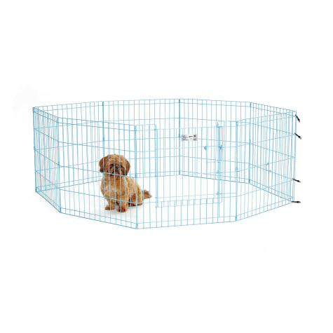 Midwest Blue Exercise Pen for Dogs