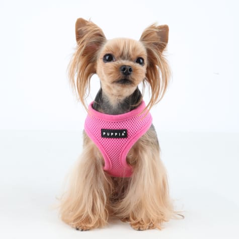 soft dog harness