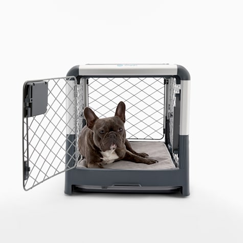 collapsible puppy crate