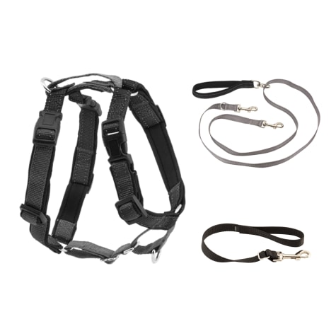 PetSafe 3 in 1 Harness with Two Pointe Control Dog Leash