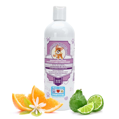 Pawtitas Handcrafted with Certified Organic Ingredients Orange Blossom and Bergamot Dog Shampoo and Conditioner