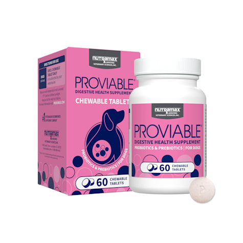 NUTRAMAX PROVIABLE Digestive Health Supplement Multi-Strain Probiotics and Prebiotics for Dogs
