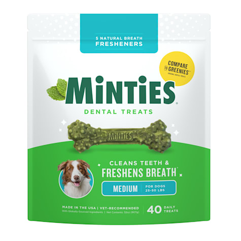 Minties Medium Dental Bone Dog Treats
