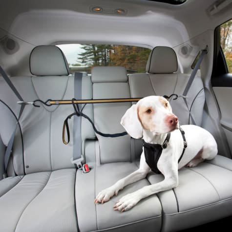 Kurgo Auto Zip Line for Dogs
