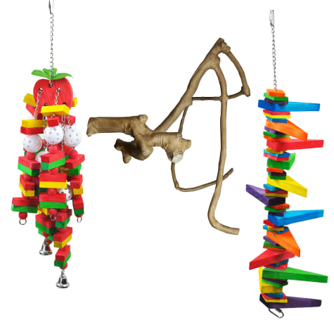 A&E Cage Company Starter Bundle for Large Birds