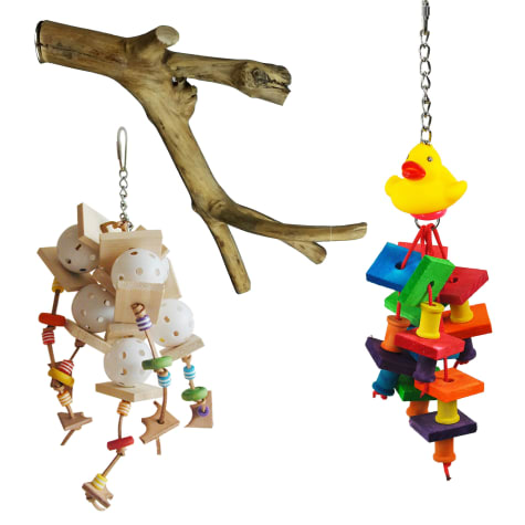 A&E Cage Company Starter Bundle for Small Birds
