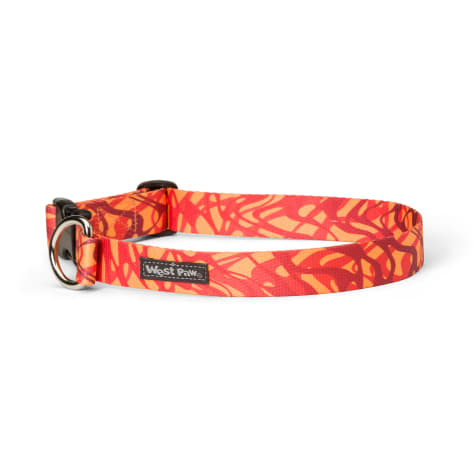 West Paw Outings Collar in Zebra Fire for Dogs