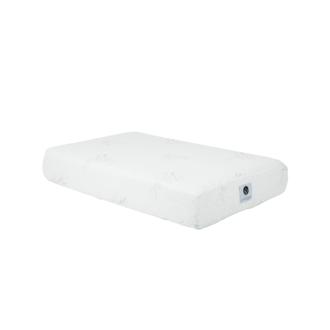 Petique Eco- Friendly Memory Foam Dog Mattress