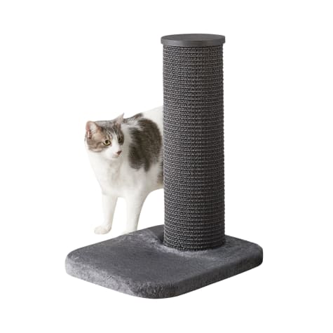 Two by Two Maple 1 Level Grey Cat Tree