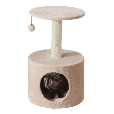 Two by Two Birch 2 Level Small Cat Tree With Condo