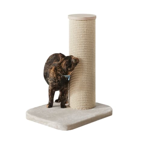 Two by Two Maple 1 Level Beige Cat Tree