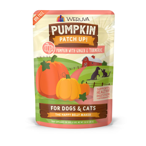 Pumpkin Patch Up! Pureed Pumpkin with Ginger & Turmeric Food Supplement for Dogs and Cats