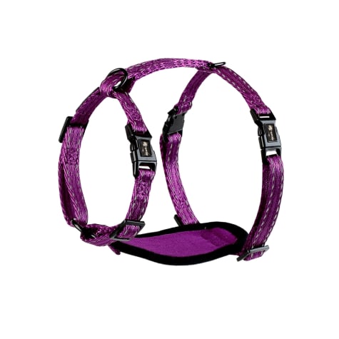 alcott Adventure Dog Harness