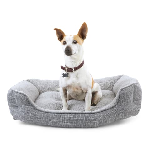EveryYay Snooze Fest Grey Rectangle Nester Box Dog Bed