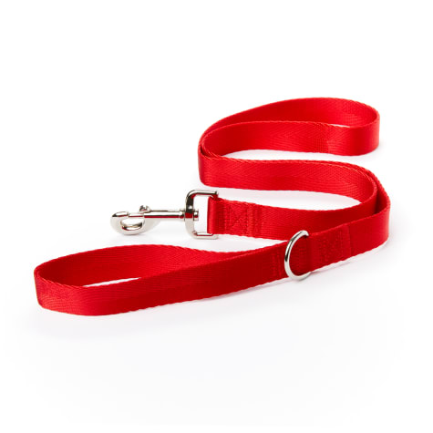 YOULY The Classic Webbed Nylon Dog Leash