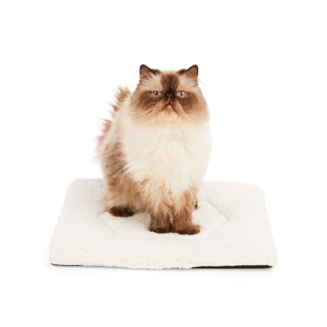 EveryYay Cream Snooze Fest Cozy Cat Mat