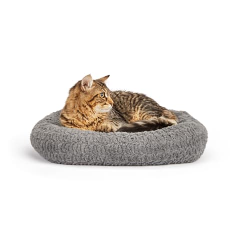 EveryYay Gray Rectangle Snooze Fest Cat Bed