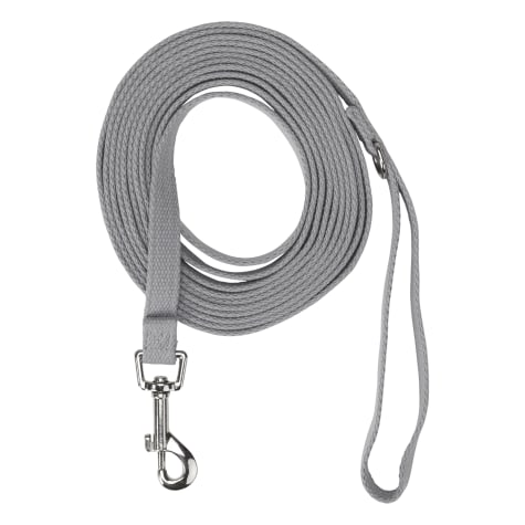 EveryYay Settin' the Pace Recall Training Leash for Dogs