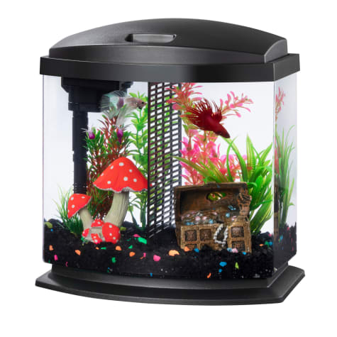 Aqueon Black LED BettaBow SmartClean Kit