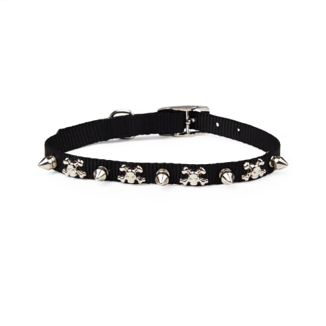 YOULY Bling Dog Collar